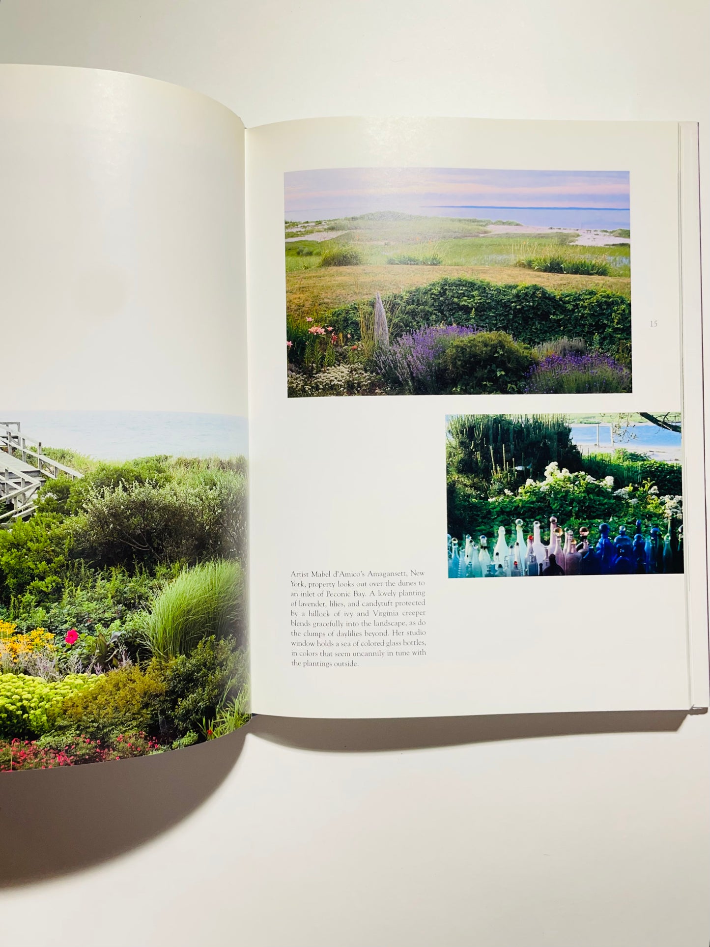 Seaside Gardening