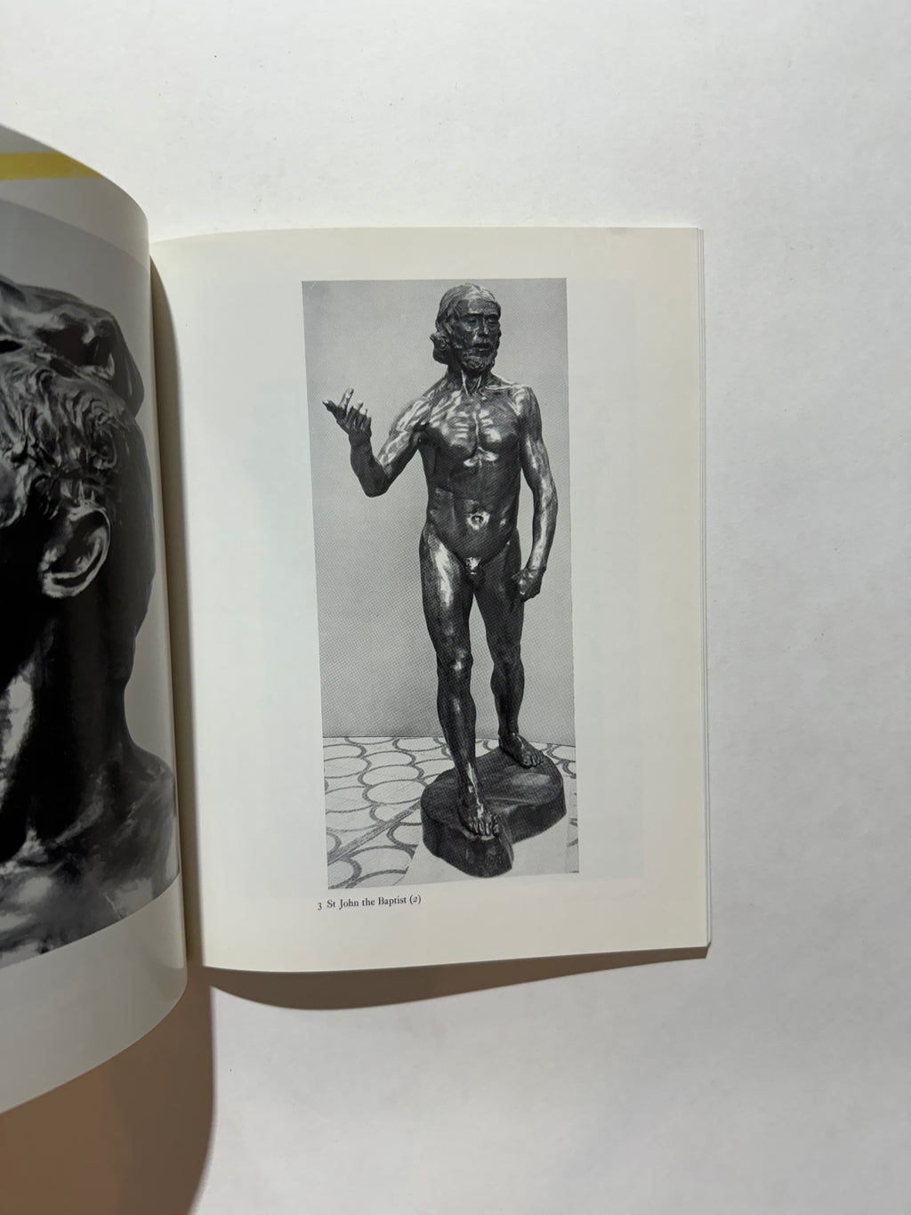 Rodin Sculptures (Monograph)