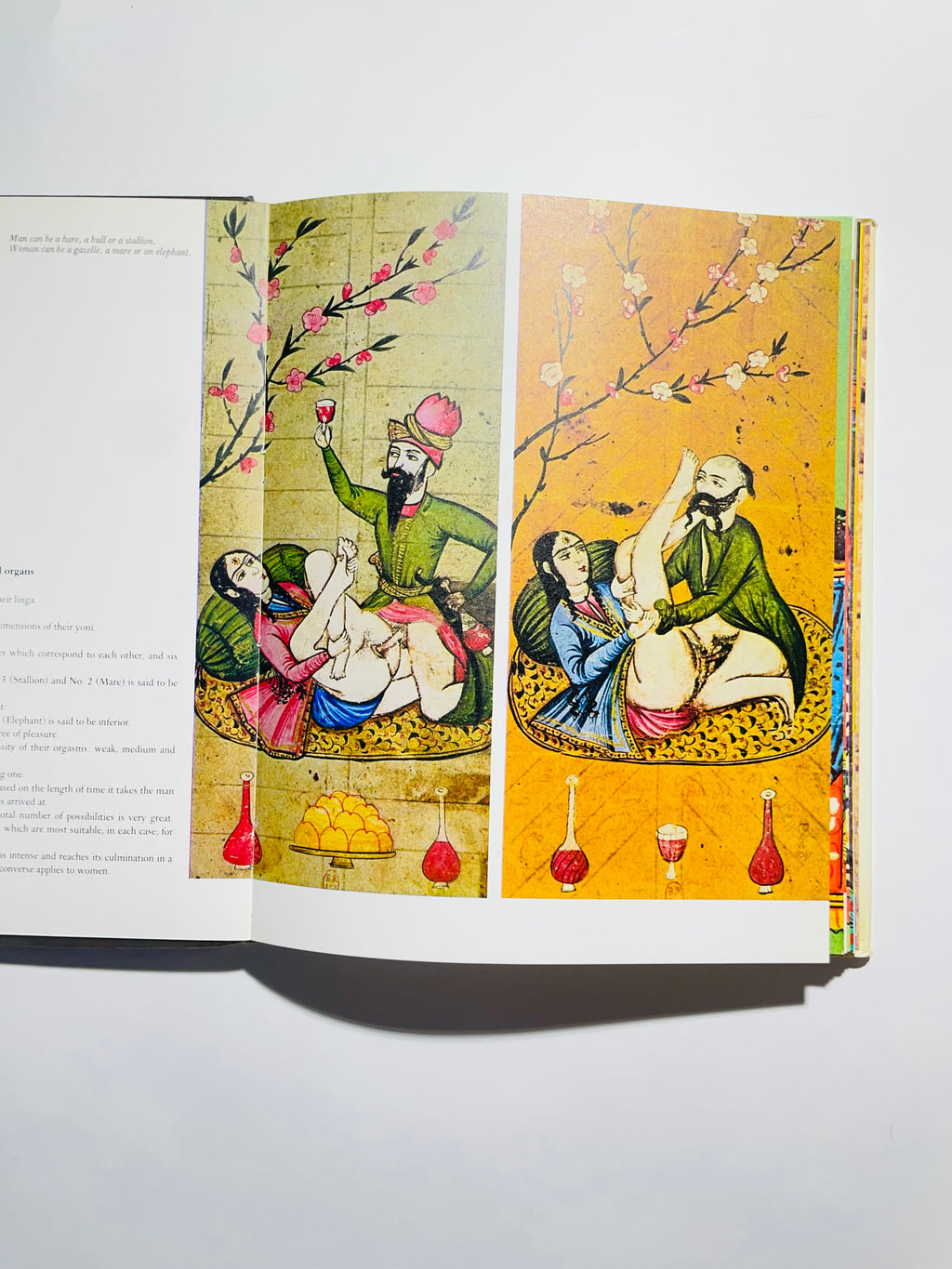 Kama Sutra: Erotic Figures In Art