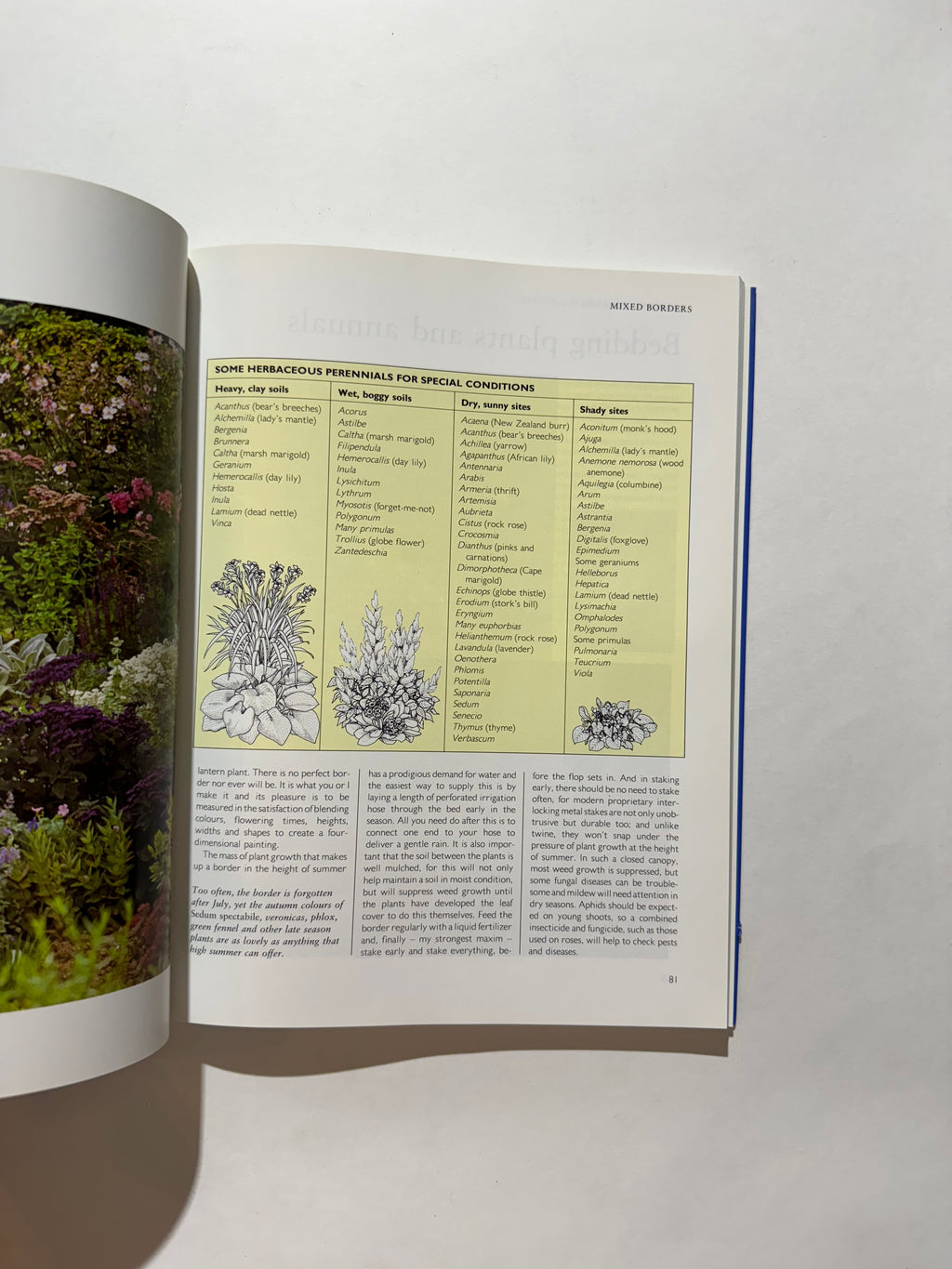 The Conran Beginner's Guide to Gardening
