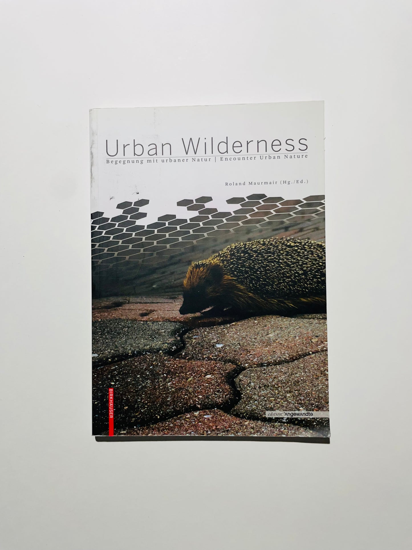 Urban Wilderness