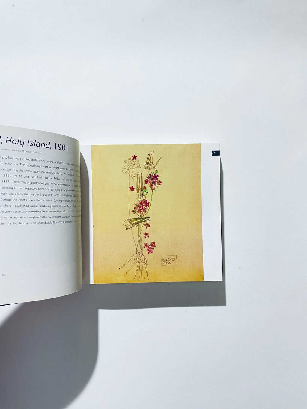 Mackintosh (The World's Greatest Art)