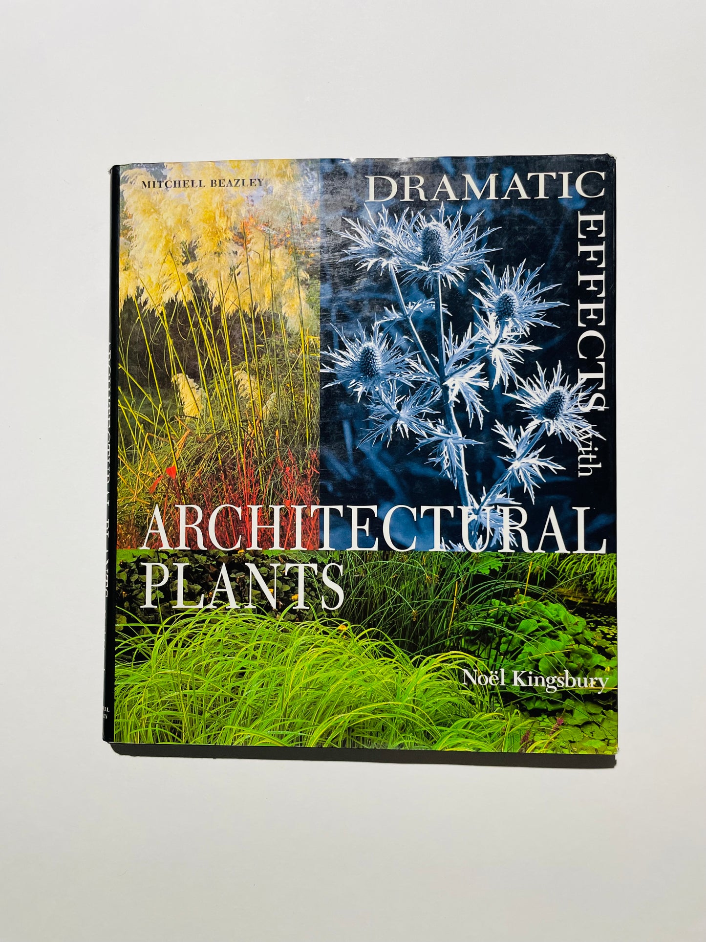 Architectural Plants