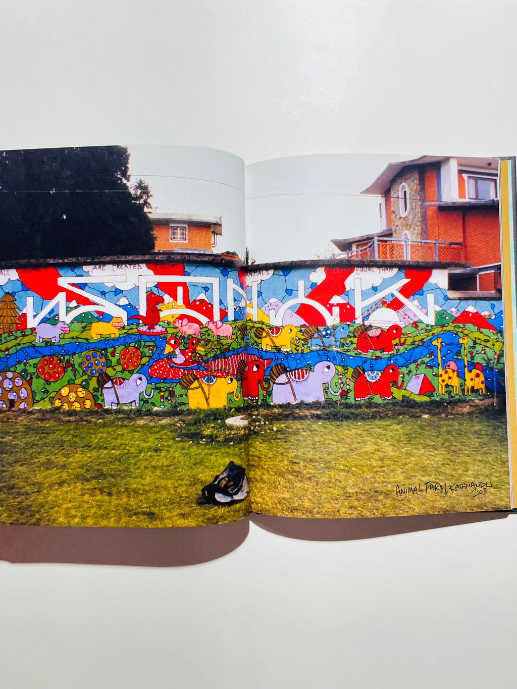 წიგნი გასაოცარია