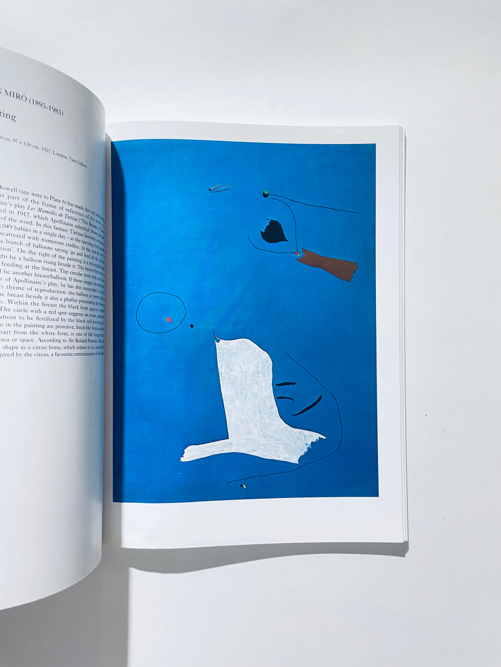 Surrealist Painting (Phaidon Colour Library)