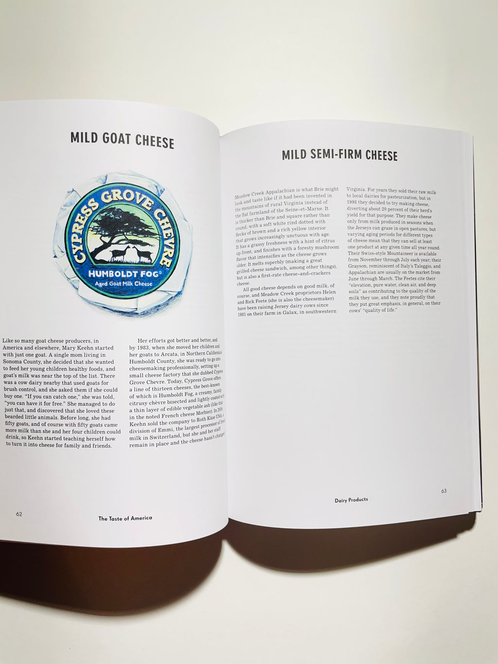 ამერიკის გემო