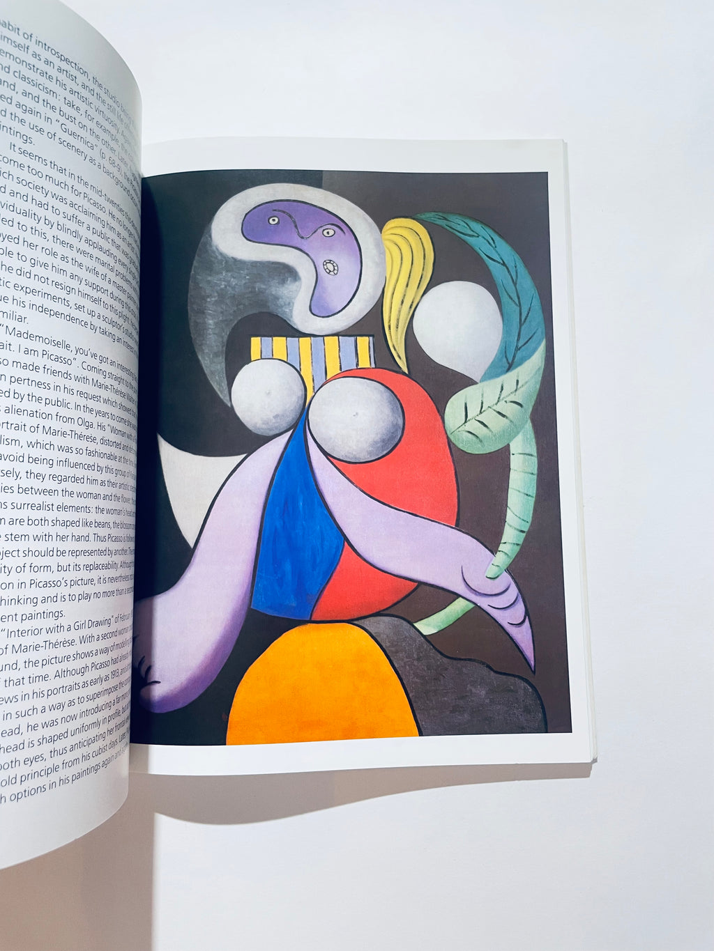 Pablo Picasso: 1881-1973 (Genius of the Century)