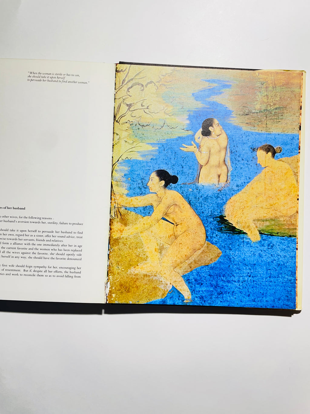 Kama Sutra: Erotic Figures In Art