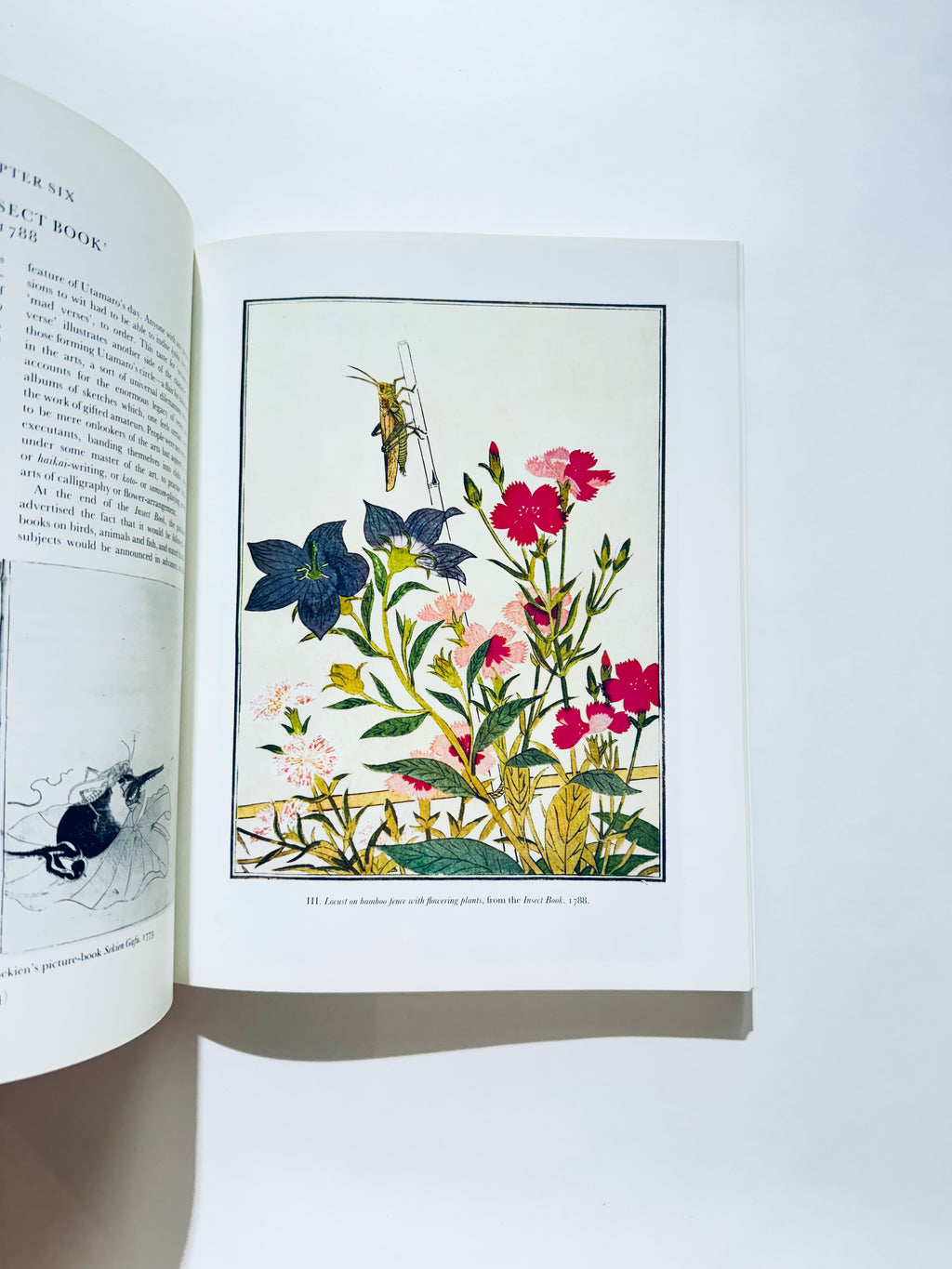 Utamaro: Colour Prints and Paintings