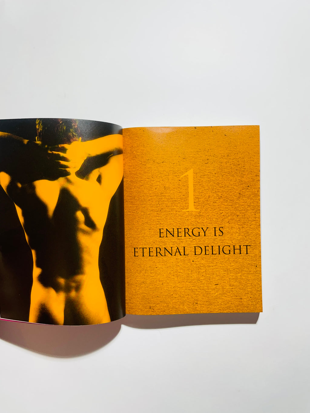 ტანტრა: გონების მომგვრელი სექსის ხელოვნება